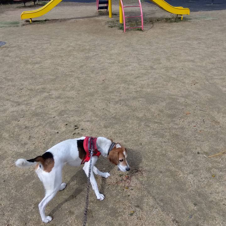 D95089f6 a400 45ab a57b 88d0350042dc 1708344967287