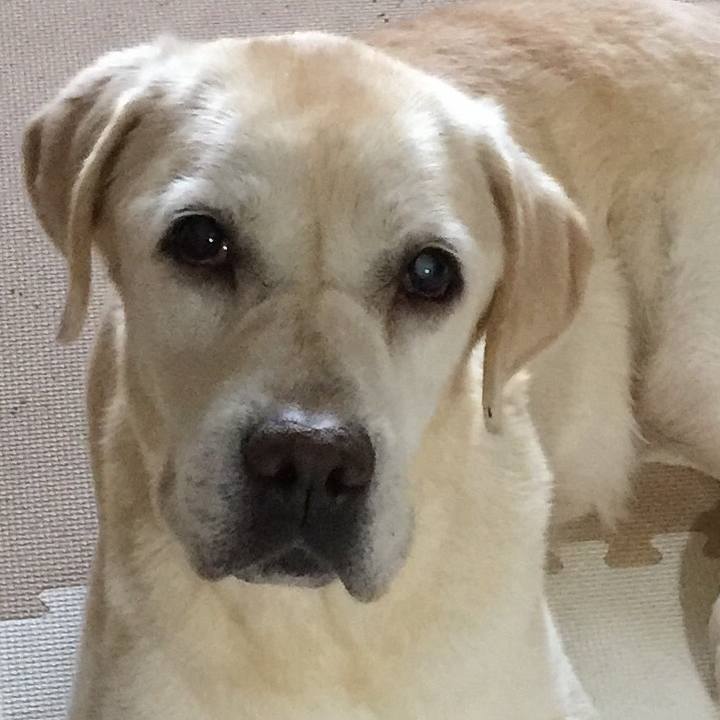 D9508a79 0b79 431e 9b4f f7d2eb3b4b91 1532070338193