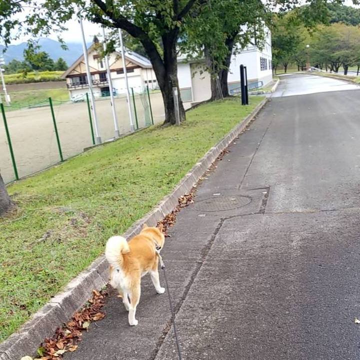 D95092f9 711e 4762 80a4 3a657fa52cc7 1696660857366