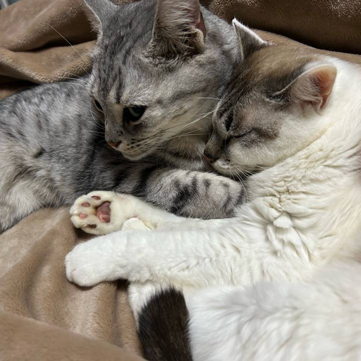 D95094be aa66 4783 b2cd 2eb7b02f3c6d 1704697477875