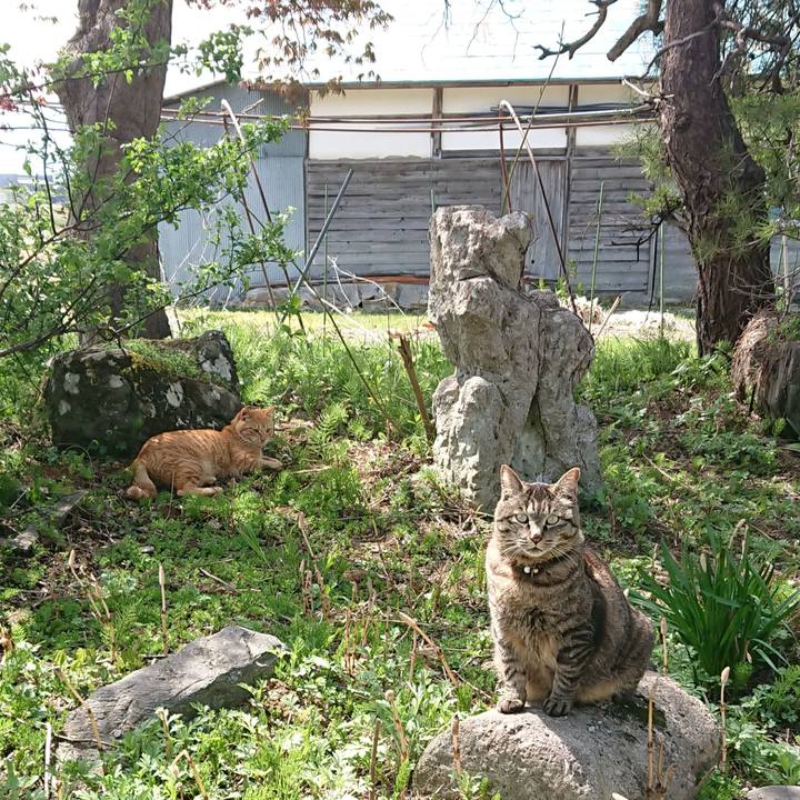 D950ac34 a22d 4b0a 92e5 7c37f8beeef9 1651148218519