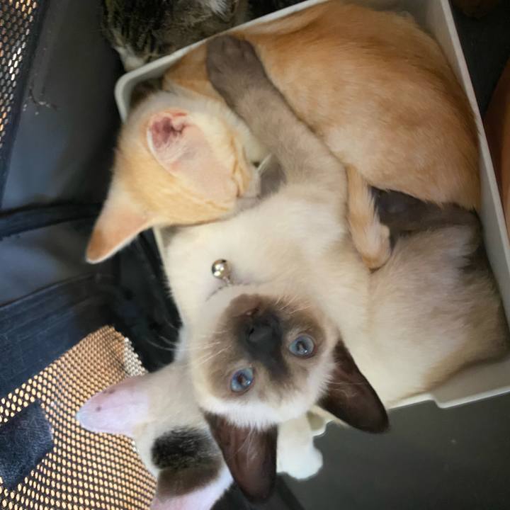 D950d8b0 9fc7 47de ace9 c5d0fc120129 1689483504220