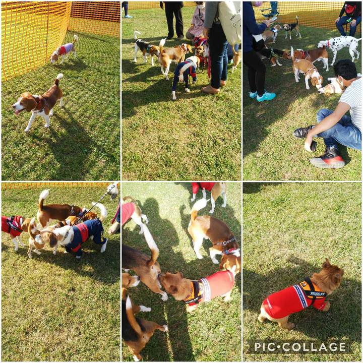 D950dc9f cf4b 418d b525 5184e46672f9 1604240062978