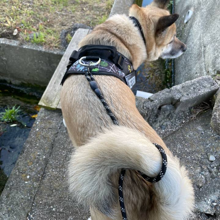 D9513514 d5ca 4ce2 ba38 0fd205791610 1715257905853