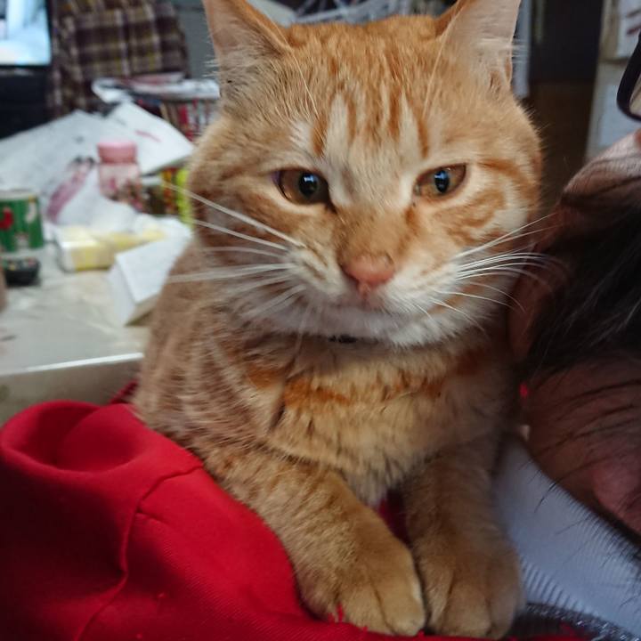 D9515217 484e 438f 9e12 485bf0413397 1648587881869