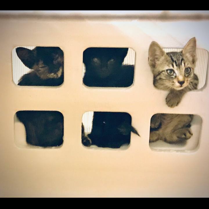 D9516c99 7d87 45a0 8156 5488f710d49b 1600598337611