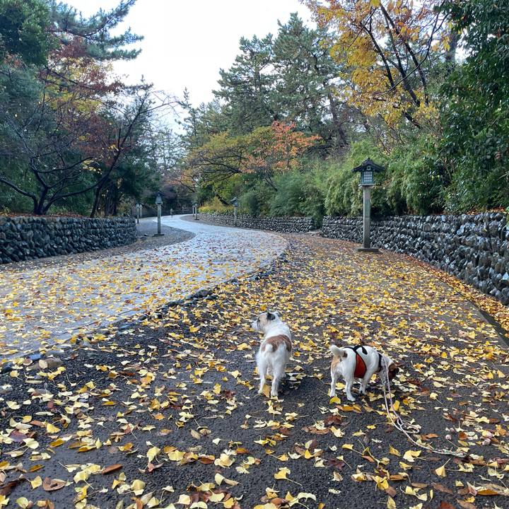 D9518647 ede2 4912 a071 5f9c75c53760 1669244707347