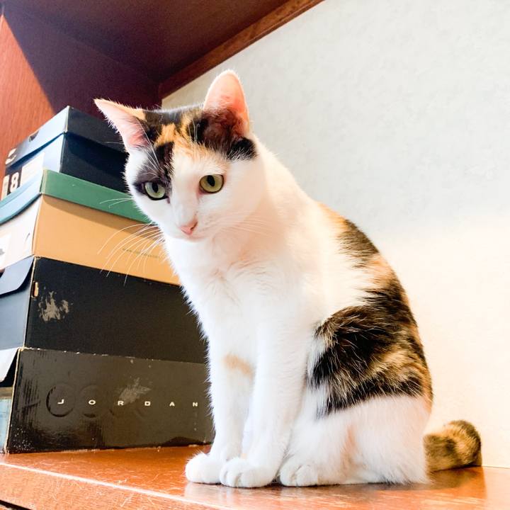 D9519d85 1180 4a8d 9717 39574e598980 1571275843708