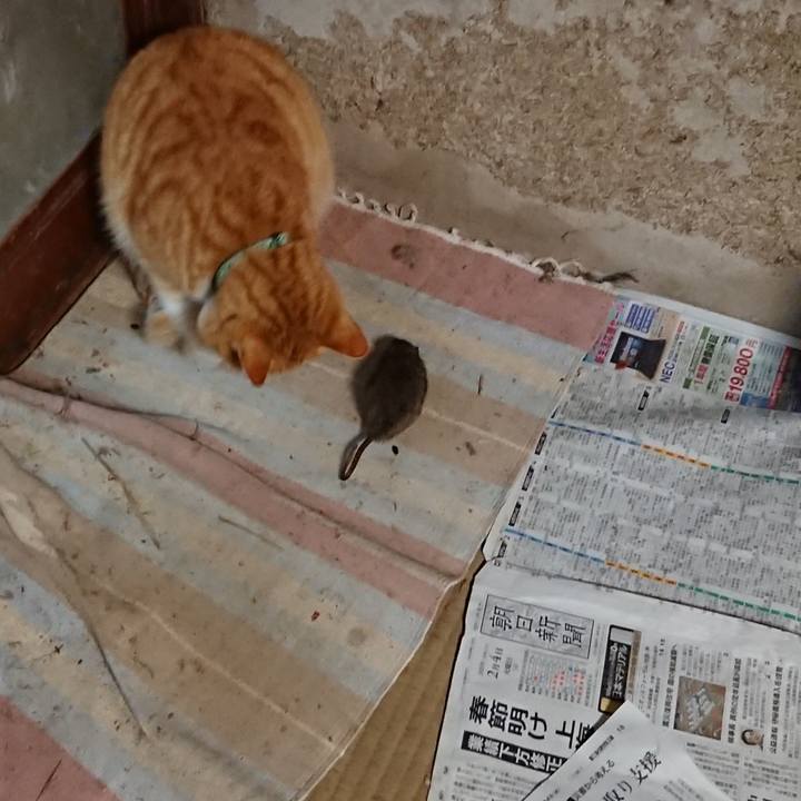 D951c56a 0a70 4cae 8bb1 8fe2851fa30c 1583143932955