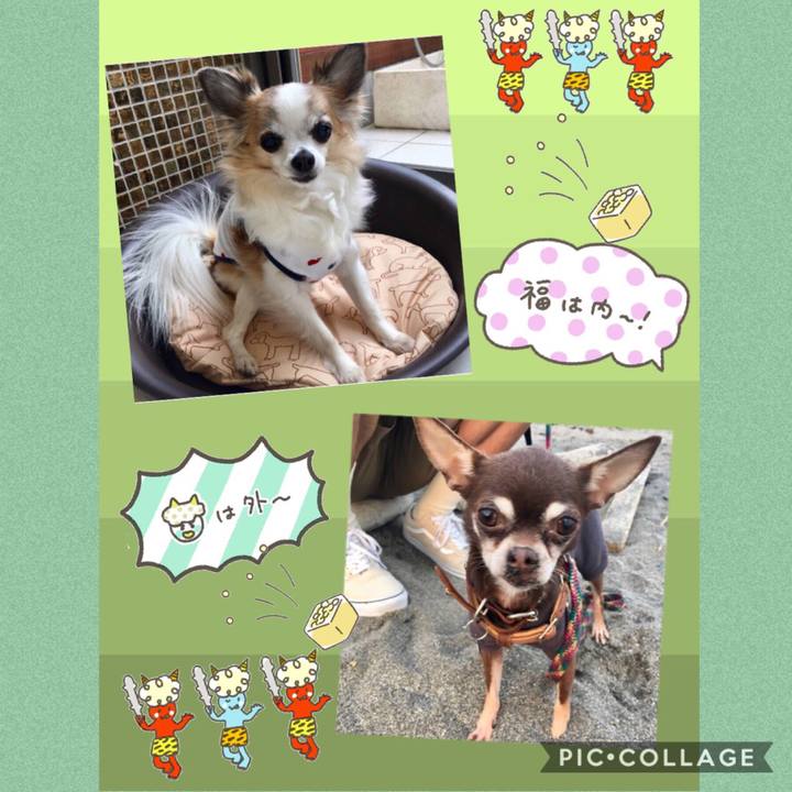 D951cd65 2ee1 4f2b 9a5f 551394fa1827 1549169182432