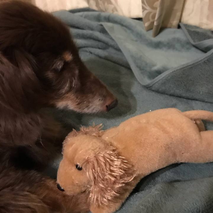 D9520d07 1bcf 482a 8990 58387cfdba22 1565519436374