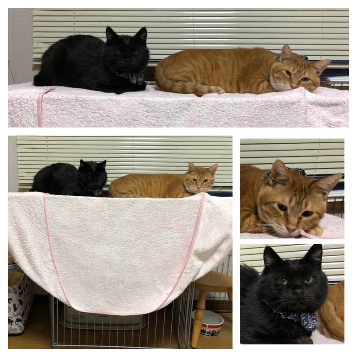 D9521237 5e47 468e 982a 40c95e040bc7 1578434897196