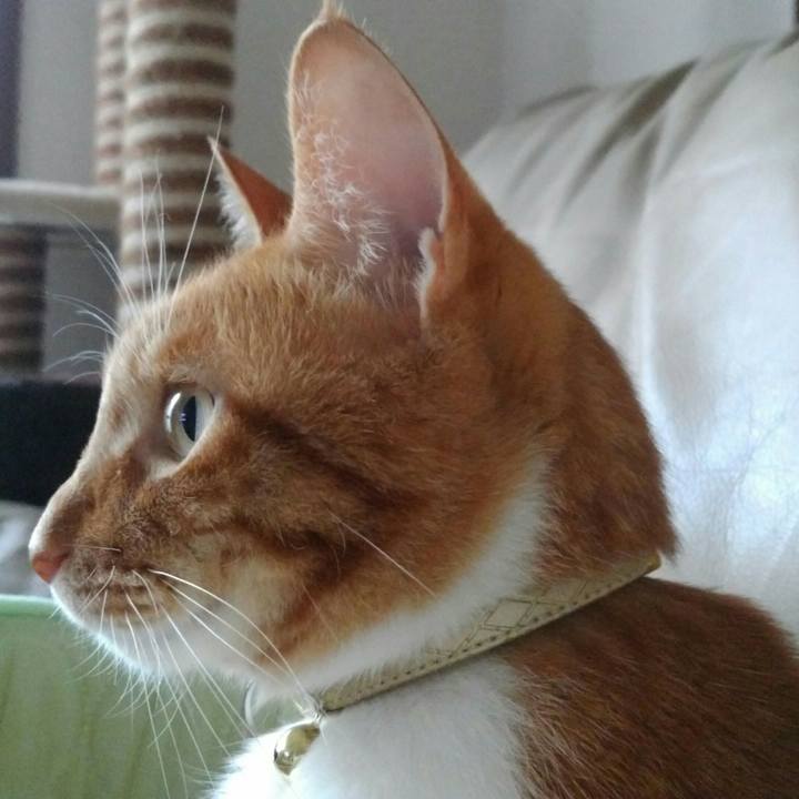 D9521cfa e8b5 4203 b875 83da0f004bc1 1560848639775