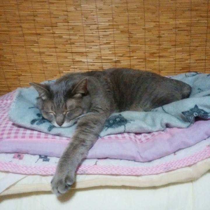 D9523fff 3ffc 4979 a62a b76dc318c3c5 1516548606338