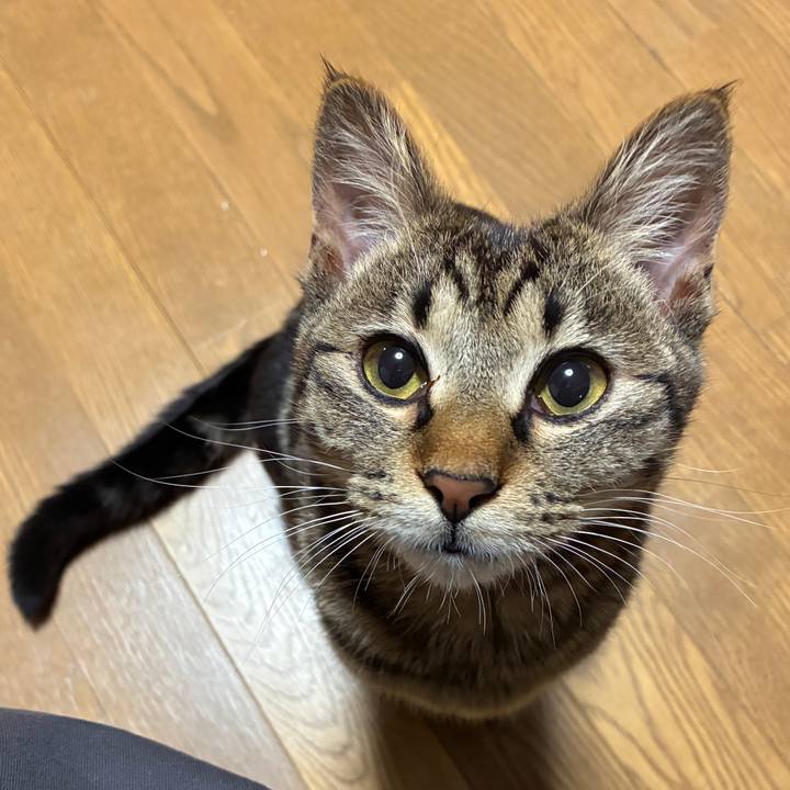 D95267b6 42b1 43e3 8928 54bddcfa2dfd 1748515572870