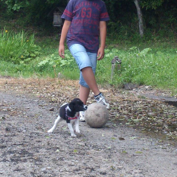 D9526e1b 64c9 45a5 b470 268decefe2d7 1619099785444