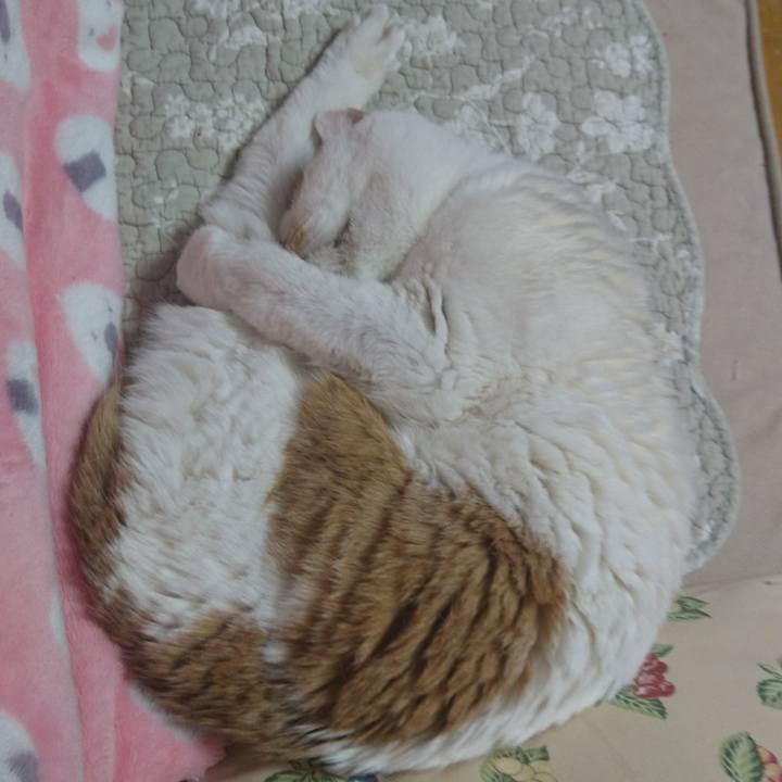 D9528824 0b3a 47b7 a380 74549a09a683 1560488632540