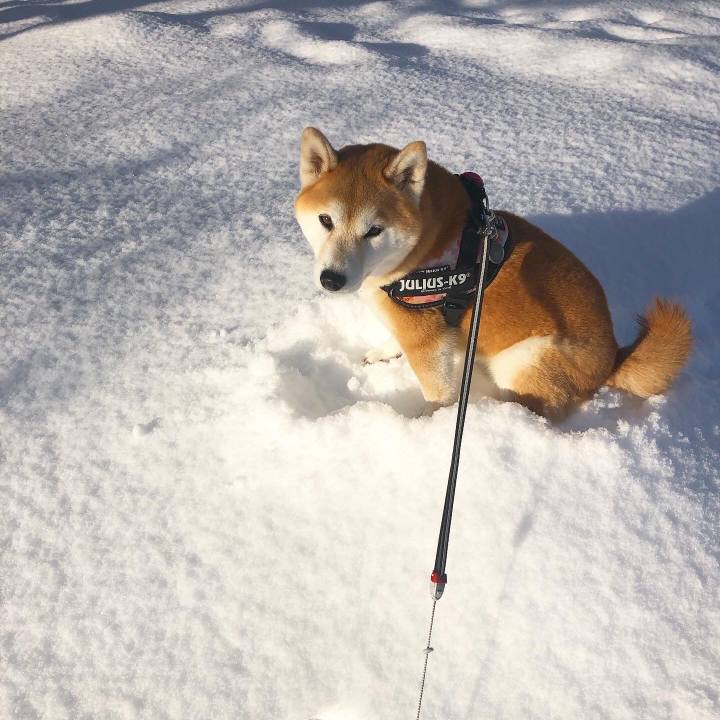 D9529f7a f65e 48c1 92d8 4ff29ff815fd 1582081069121