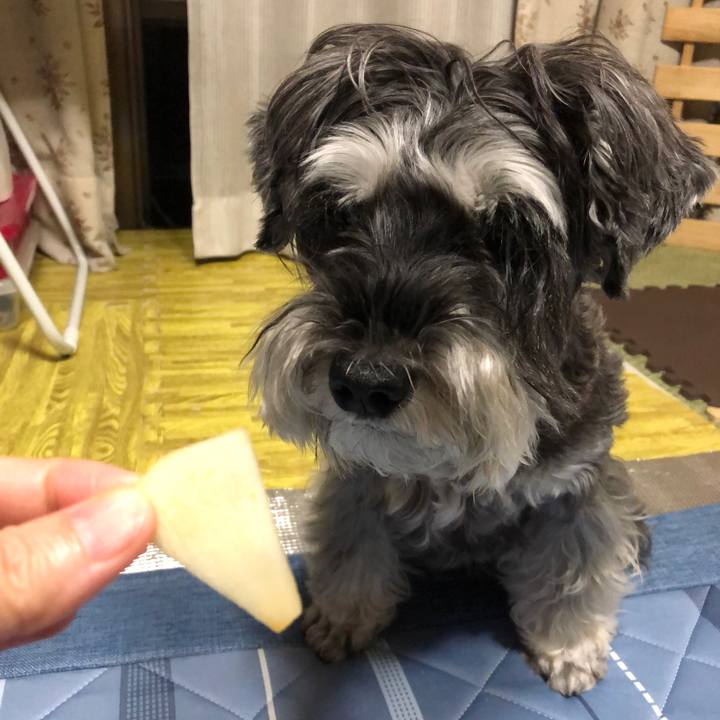 D952c466 8e91 48b6 8669 cf0c5d01db37 1664891588649