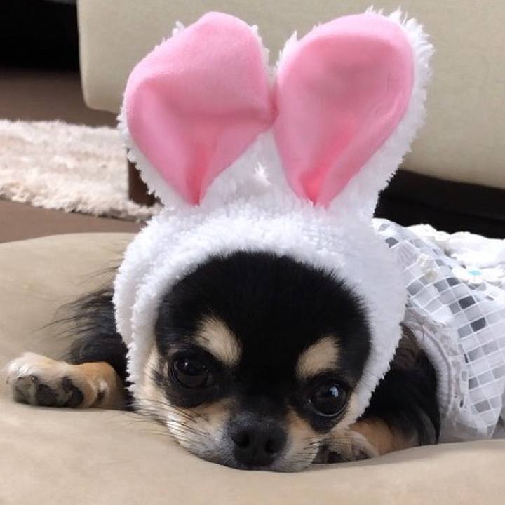 D952f13d fd54 4e75 b259 a19dfbcbe10f 1598925075530