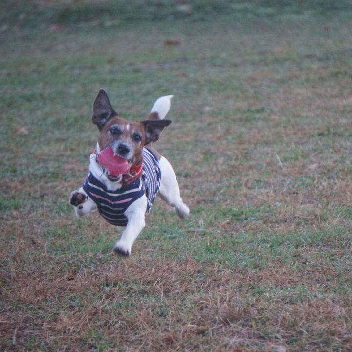 D9531329 b7bf 473b 8976 c6bb76015bef 1607037649147