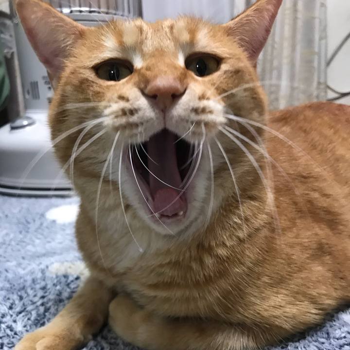 D9532820 9b87 47f2 8dd3 7c9a0019dd94 1576834602663