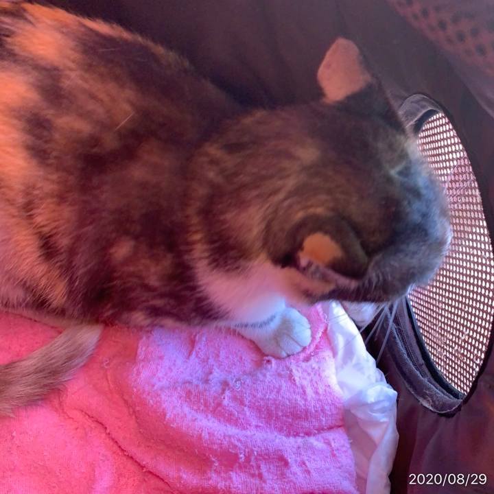 D9535e29 718d 48a5 9551 1a0152d08080 1598659411834