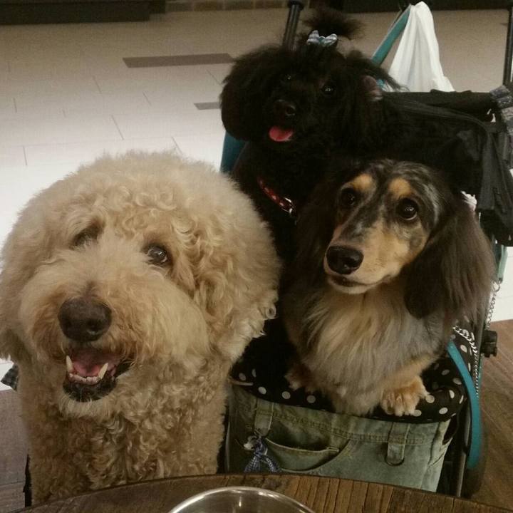 D9537967 4036 4237 90ba 967d15244ed7 1521208044751