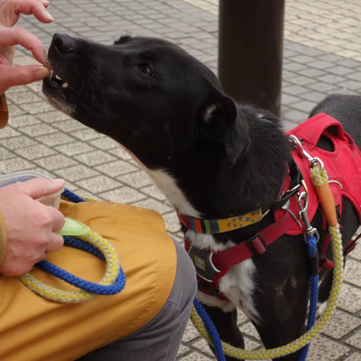 D9539f98 b33e 4c85 b298 fe44f4646c63 1585271312659