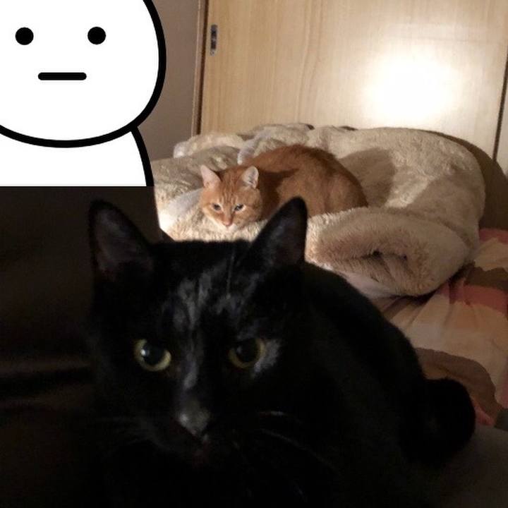 D953a0dd ce48 4f96 bef4 9c7fef60884b 1670939412636