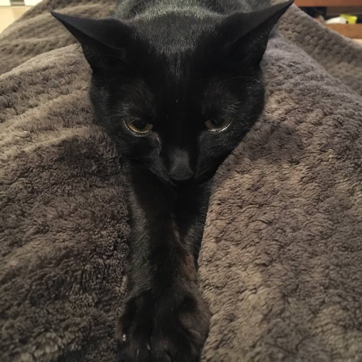 D953a5c7 b82a 49fc 9983 da71910a4596 1537878509418