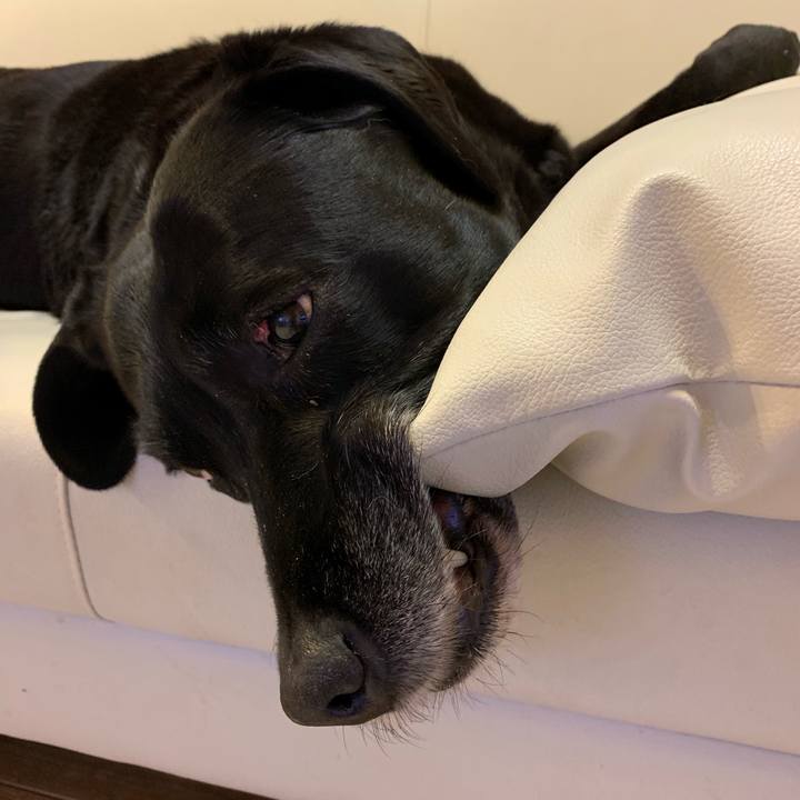 D953d91a 4f1b 4108 8c7e eecf032d3a93 1551331943625