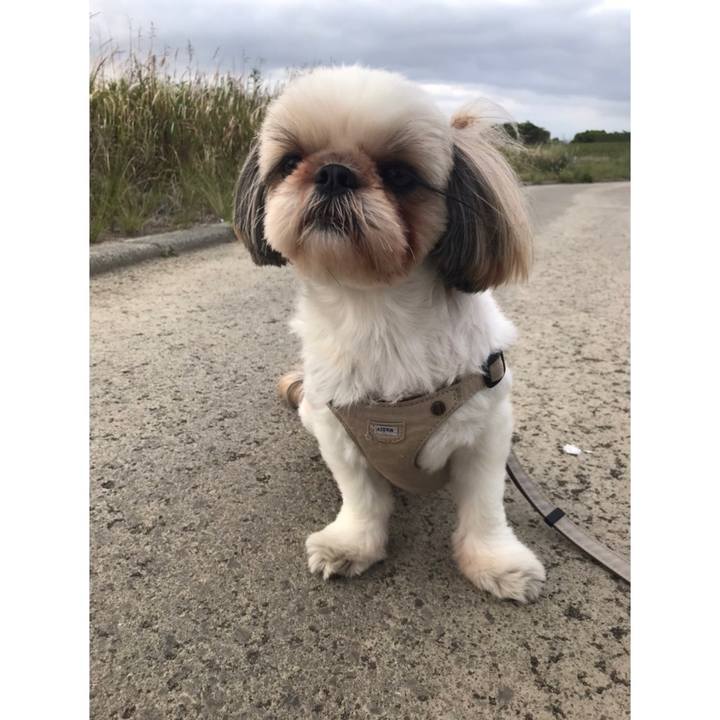 D953e328 4cdf 4a8f a442 665f6fcc6c3c 1652066781414