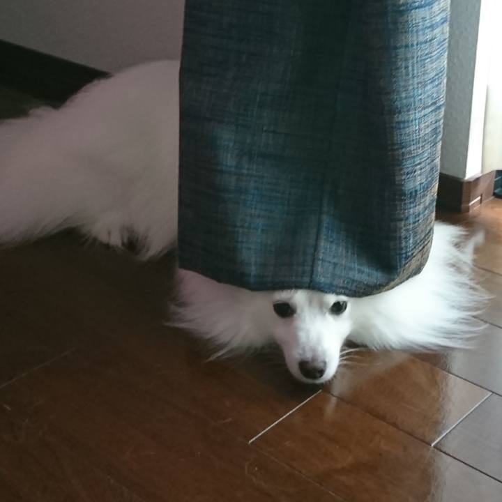 D9546595 d3d4 4a5c bfa9 00002a1b306e 1595227391723