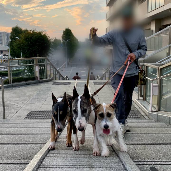 D9546702 a7af 4339 b52b cde4c072f9a9 1604741369640