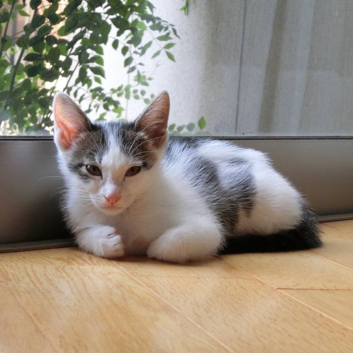 D95484d3 f66f 4adc 8343 3657a27b8462 1562284316748