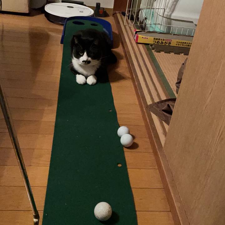 D954afc2 e9bf 4a75 8e21 4267d3aa6b04 1650159285557