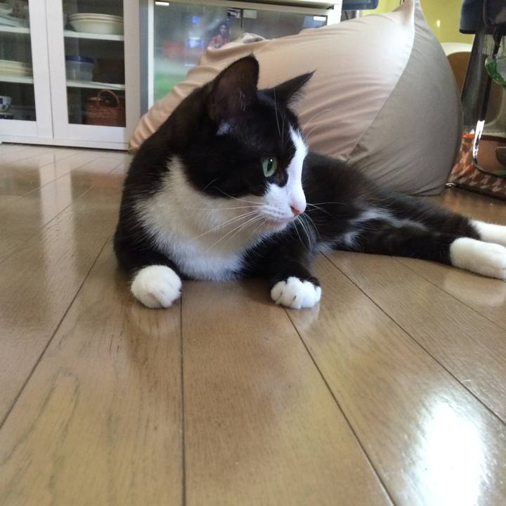 D954b881 ea93 4bda 84ca c4463f266835 1509705281546