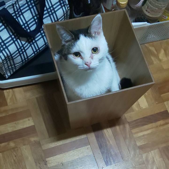 D954ca90 6870 4712 bb79 9a52d57d933b 1604589315579