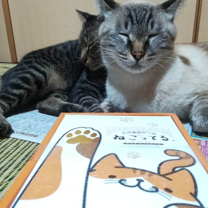 D954ff20 f5ff 45bd a2f2 d1e83ad08d28 1568458167077