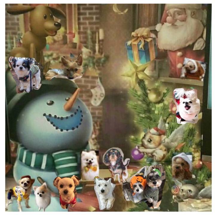 D9554083 09bb 4c6c ae69 4b6a43c734ea 1512999027390