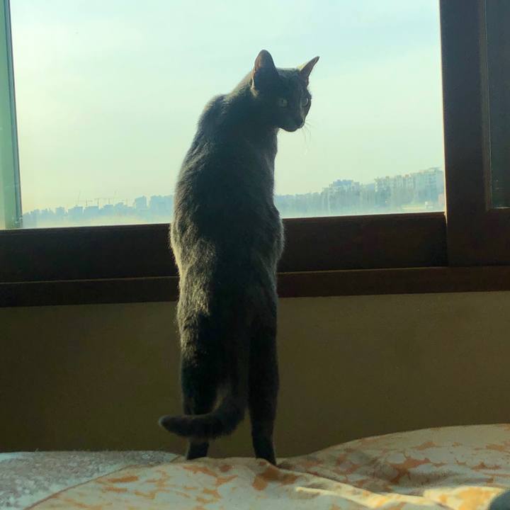 D955479f df3f 4c57 99ab e7e545f5728b 1584852116756