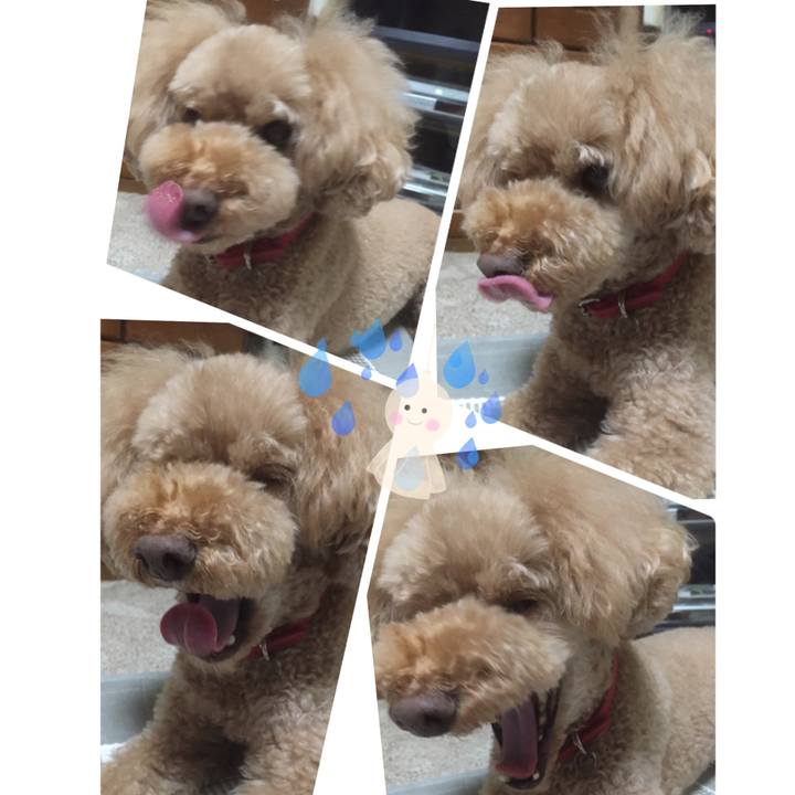 D95577fa 53d1 4040 b420 e0fd3e6a1817 1536445164333