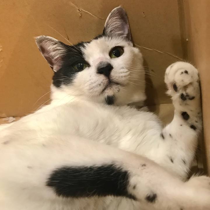 D9559ae1 3419 494b 8f79 2fc993d84fcf 1518531702200