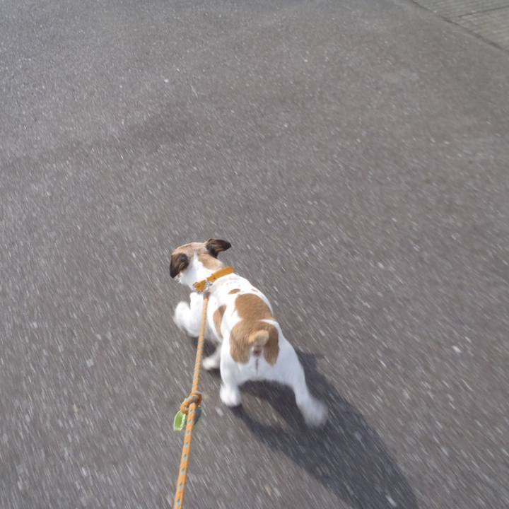 D955c125 0cbe 487f a971 6b324c672710 1520076831298