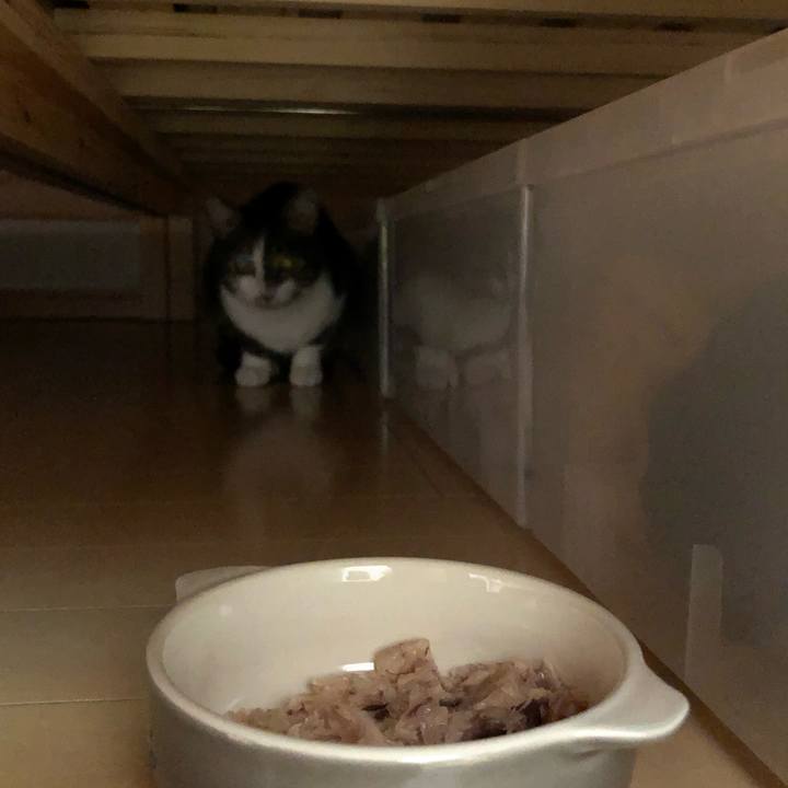 D95618bb 6b76 430a 9cc9 8ef753bcca08 1551385291422