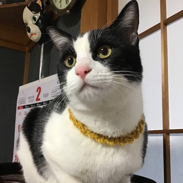 D9561a54 af8a 4ccb b944 2b24a4fb1e70 1645480241729