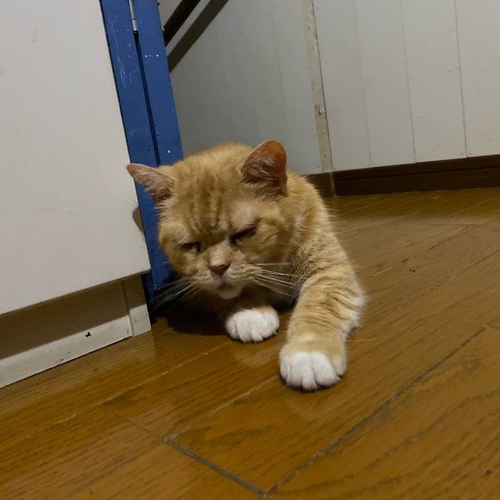 D95623e5 ac95 47c2 af8f 04833fa54eb0 1658785378366