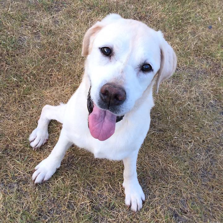 D9562f1a c722 428c bfe0 1c507c4e9fc0 1628824632694