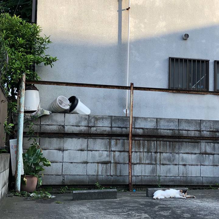 D9565dac 9e86 489a 808d 913c4268b7ad 1528550171465